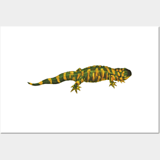 reptile skeptical Posters and Art